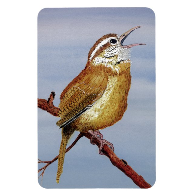 Carolina Wren Magnet (Vertical)