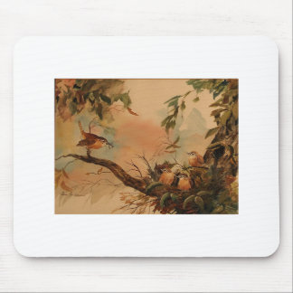 Carolina Wren Mouse Pad