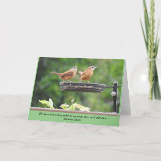 Carolina Wren Pair Blank Card
