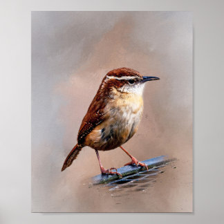 Carolina Wren Poster