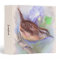 Carolina Wren with Morning Glory Flowers