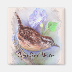 Carolina Wren with Morning Glory Flowers Magnet