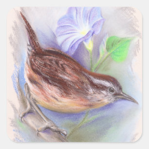Carolina Wren with Morning Glory Flowers Square Sticker
