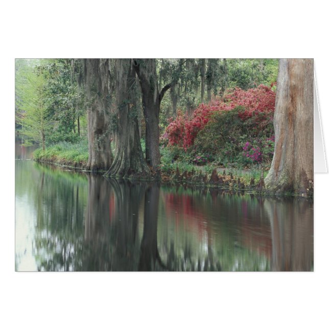 Caroline du Sud, Charleston (Devant horizontal)