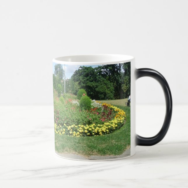 carols pic's1 022 magic mug (Right)