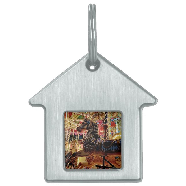 Carousal Pet ID Tag (Front)