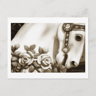Carousel 13 Postcard