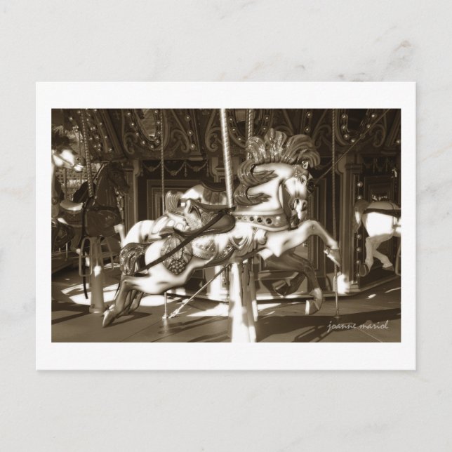 Carousel 14 Postcard (Front)