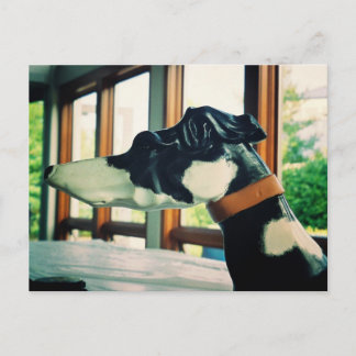 Carousel Dog Postcard