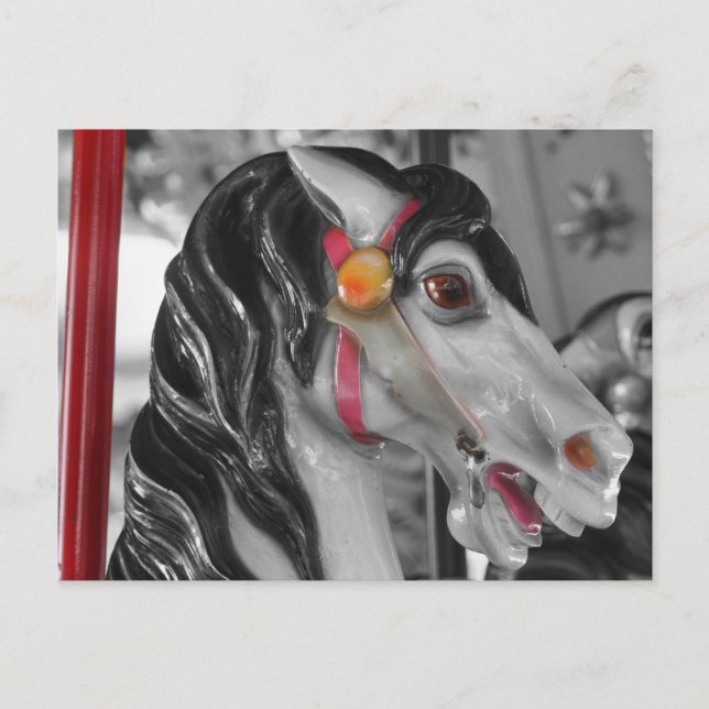 Carousel Horse Black White Postcard (Front)
