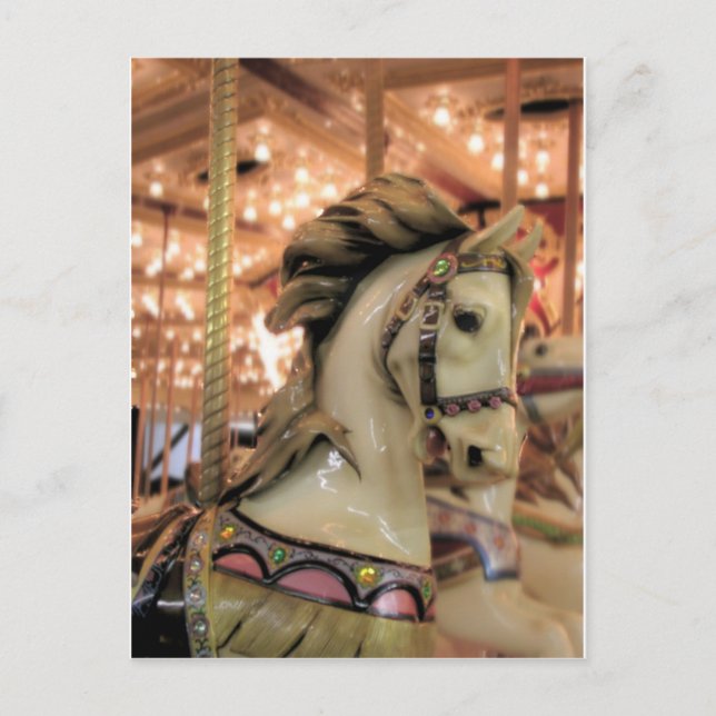 carousel horse postcard (Front)