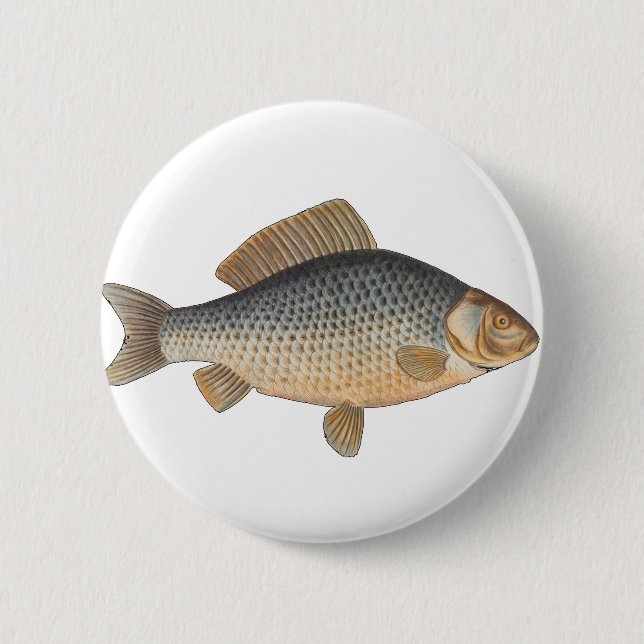 Carp fish fishing painting freshwater 2 inch round button (Front)