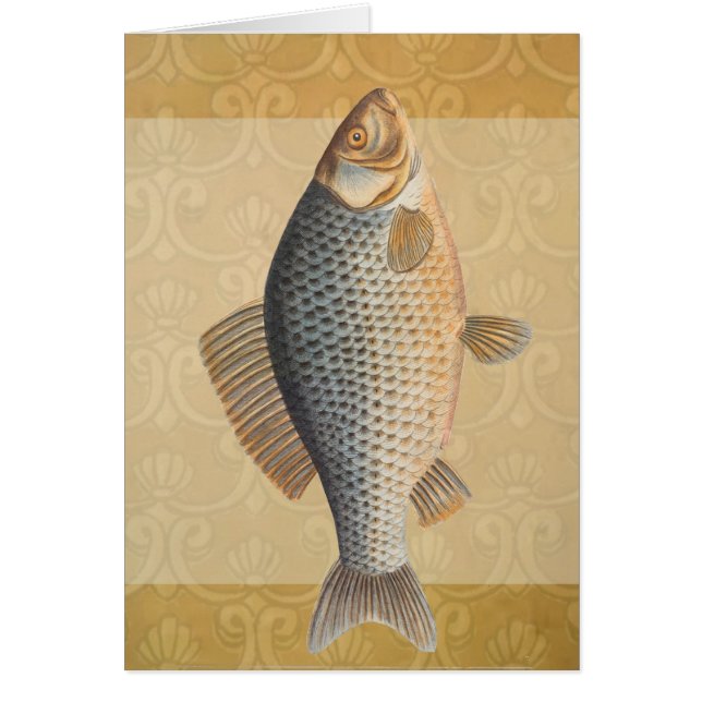 Carp fish fishing painting freshwater drawing  (Front)