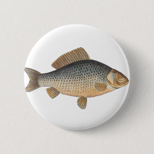 Carp fish fishing painting freshwater drawing  2 inch round button