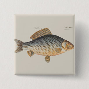 Carp fish fishing painting freshwater drawing  2 inch square button