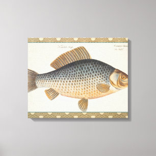 Carp fish fishing painting freshwater drawing canvas print