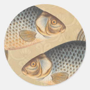 Carp fish fishing painting freshwater drawing classic round sticker