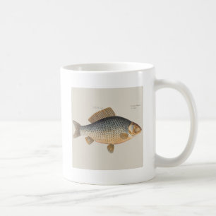 Carp fish fishing painting freshwater drawing  coffee mug