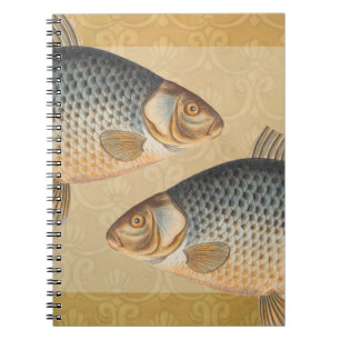 Carp fish fishing painting freshwater drawing  notebook