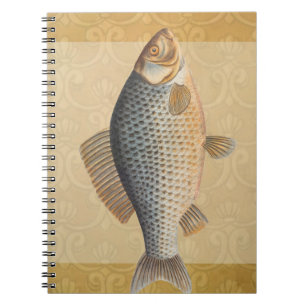 Carp fish fishing painting freshwater drawing  notebook