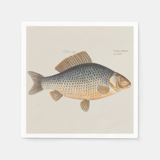 Carp fish fishing painting freshwater napkin (Front)
