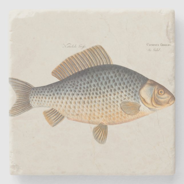 Carp fish fishing painting freshwater stone coaster (Front)