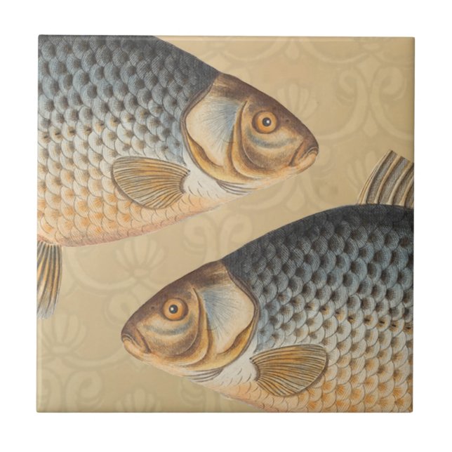 Carp fish fishing painting freshwater tile (Front)