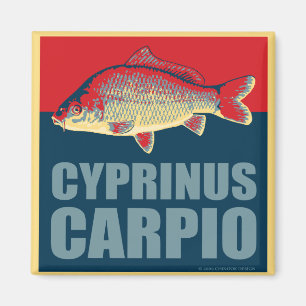 carp magnet