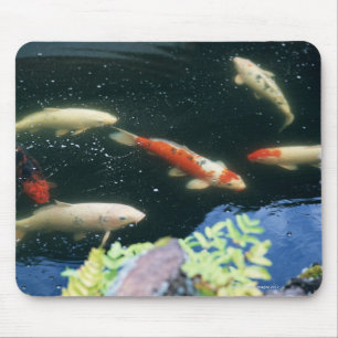 Carp Mouse Pad