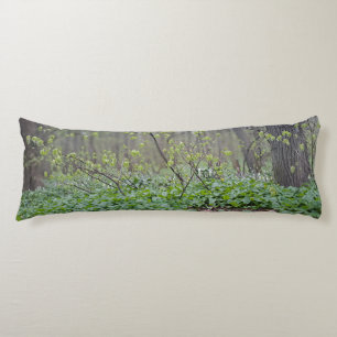 Carpathian Forest Floor Romania Nature Photograpy Body Pillow