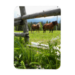 Carpathian Mountains - Ukraine Magnet