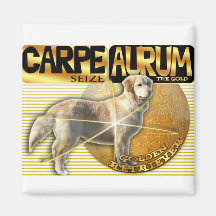 CARPE AURUM LATIN SEIZE THE GOLD GOLDEN RETRIEVER
