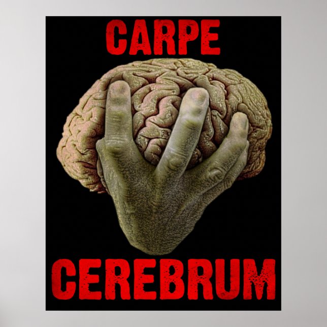 "CARPE CEREBRUM" poster (Front)