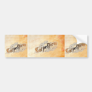 carpe diem bumper sticker