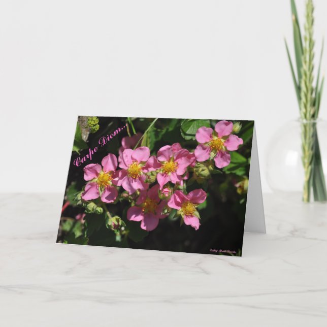 Carpe Diem... Card (Front)