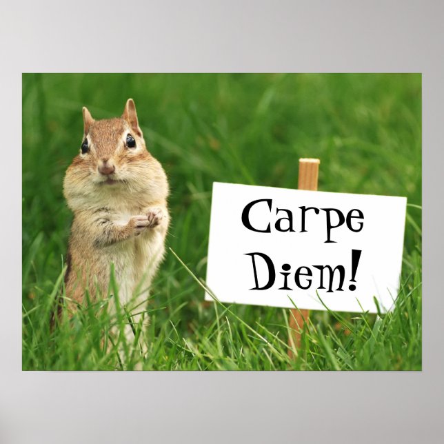 Carpe Diem Chipmunk avec affiche (Devant)