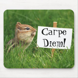Carpe Diem! Chipmunk with Sign Mouse Pad