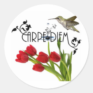 carpe diem classic round sticker