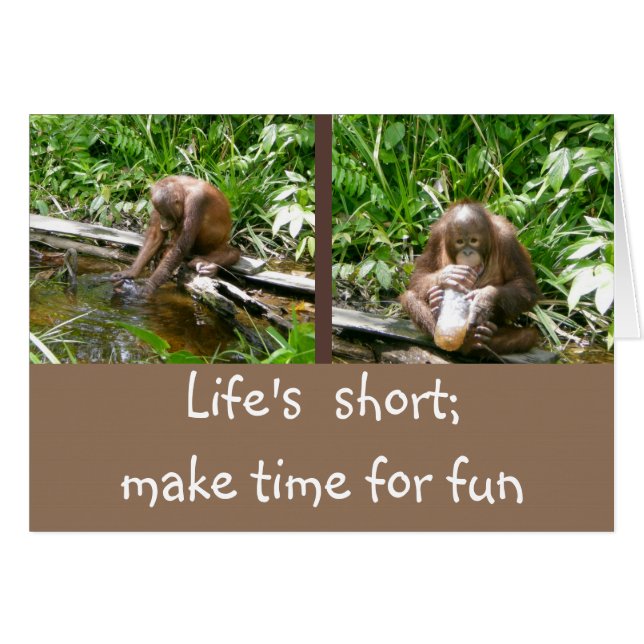 Carpe Diem Enjoy Life (Devant horizontal)