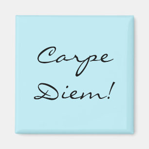 Carpe Diem magnet
