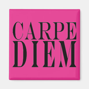Carpe Diem Seize the Day Latin Quote Happiness Magnet