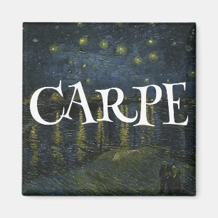 CARPE DIEM SIEZE THE DAY MOMENT MAGNET