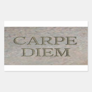 Carpe Diem Stone rectangle stickers