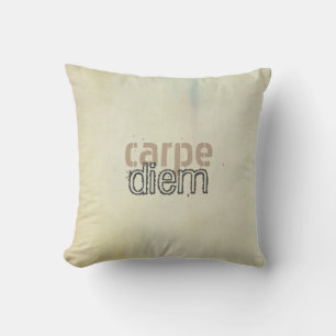 carpe diem throw pillow shabby chic decor