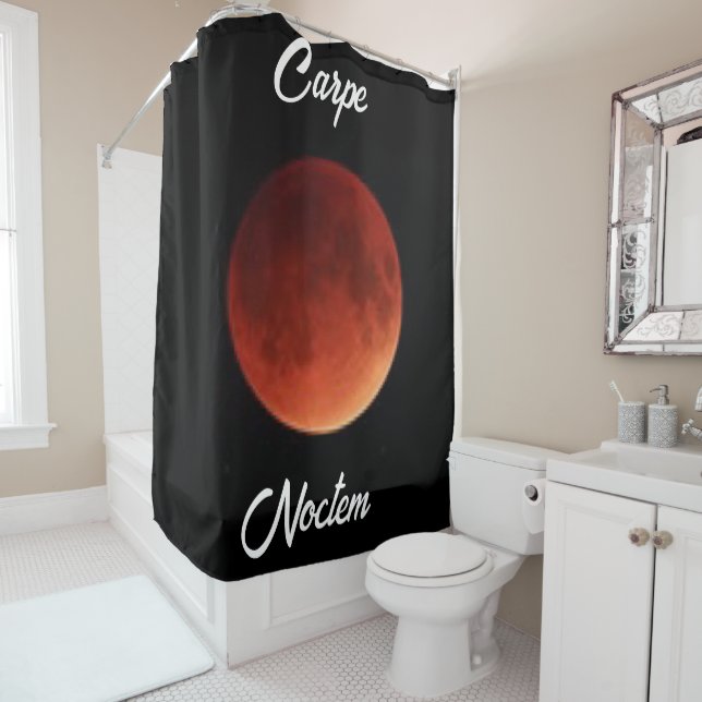 Carpe Noctem Shower Curtain (In Situ)