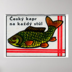 Carpe Vert Poisson - Impression Boîte d'Allumettes
