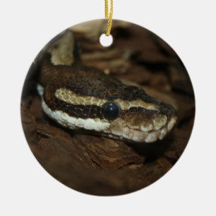Carpet python ceramic ornament