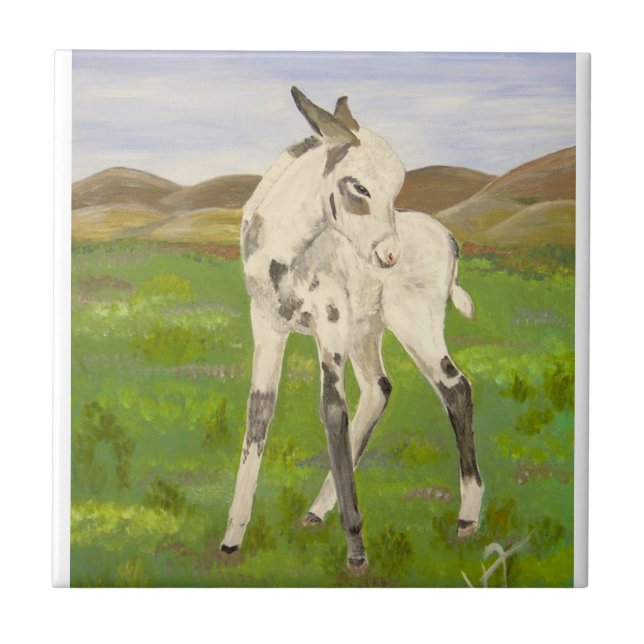 Carrara the Donkey Tile (Front)
