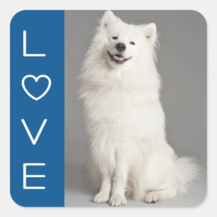 Carré Amour American Eskimo Puppy Dog Sticker / Étiquet