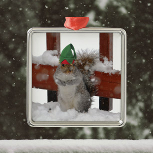 Carré Argenté Jaunty Squirrel avec Elf Casquette Ornement de Noë